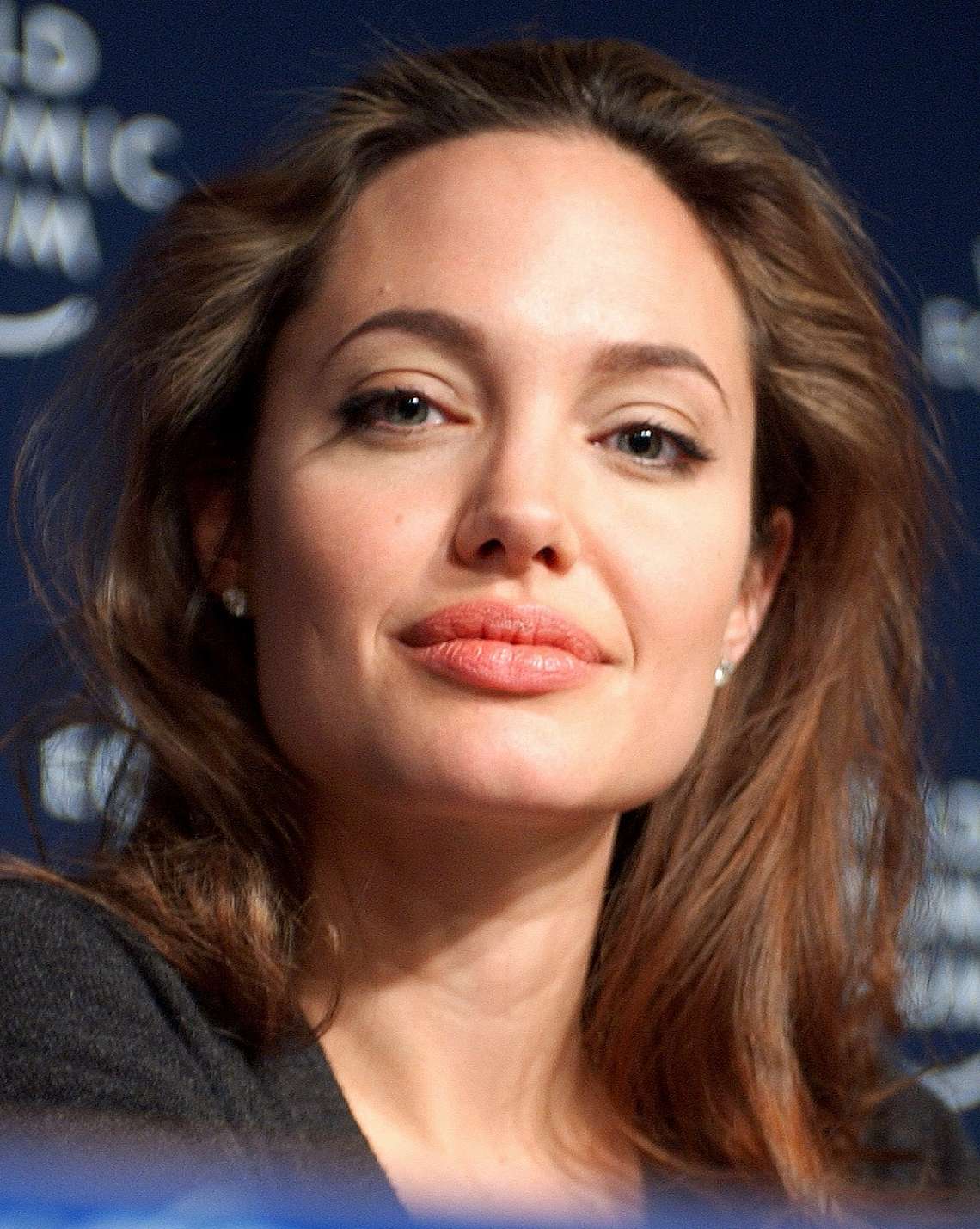 Angelina Jolie at Davos.jpg: Remy Steineggerderivative work: EnemyOfTheState, CC BY-SA 2.0, via Wikimedia Commons