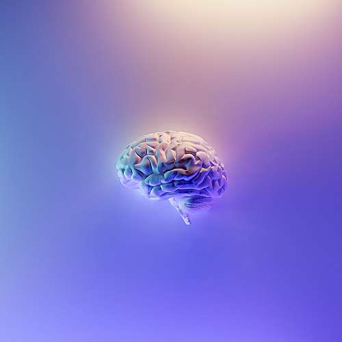 Изследователи разработиха метод за дълбока мозъчна стимулация за по-добра памет