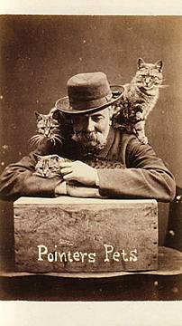 Визитна картичка на фотографа от Брайтън Хари Пойнтер с три от котките му заснет във фотостудиото на Хари Пойнтър в Блумсбъри Плейс, Брайтън около 188...