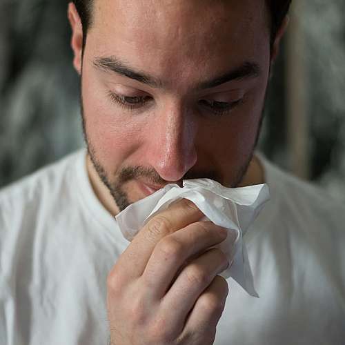 Обикновената настинка може да предпазва от Covid-19