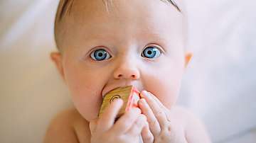 За бебетата размяната на слюнка е доказателство за близост 