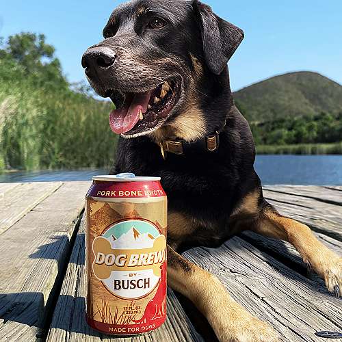 Производител на бира за кучета търси директор по вкуса