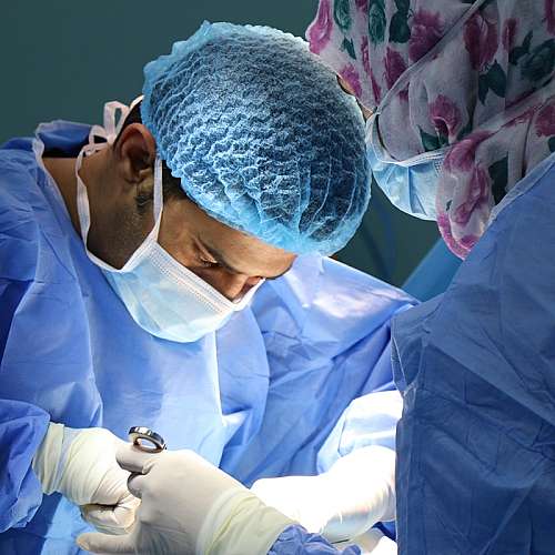 Американски хирурзи за първи път трансплантираха успешно сърце от прасе на човек