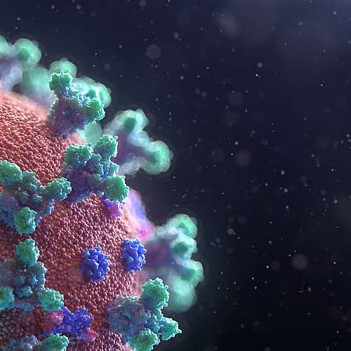 Новият коронавирус  заразява пряко и  устната кухина