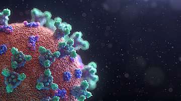 Новият коронавирус е уязвим на антитела
