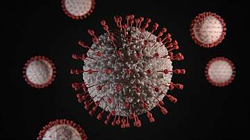 В Западна Япония откриха нов мутирал щам на коронавируса
