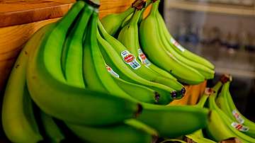 Зелените банани имат противоракови свойства, сочи британско проучване