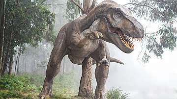 Климатът по времето на динозаврите е бил с горещо лято и топла зима
