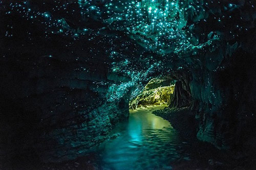 Waitomo glowworm caves 012