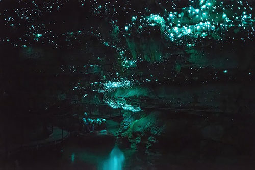 Waitomo glowworm caves 013