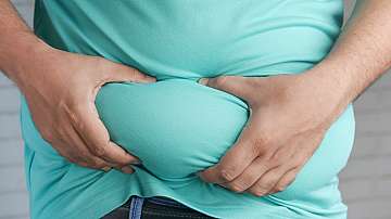 Затлъстяването влошава качеството на мъжките полови клетки