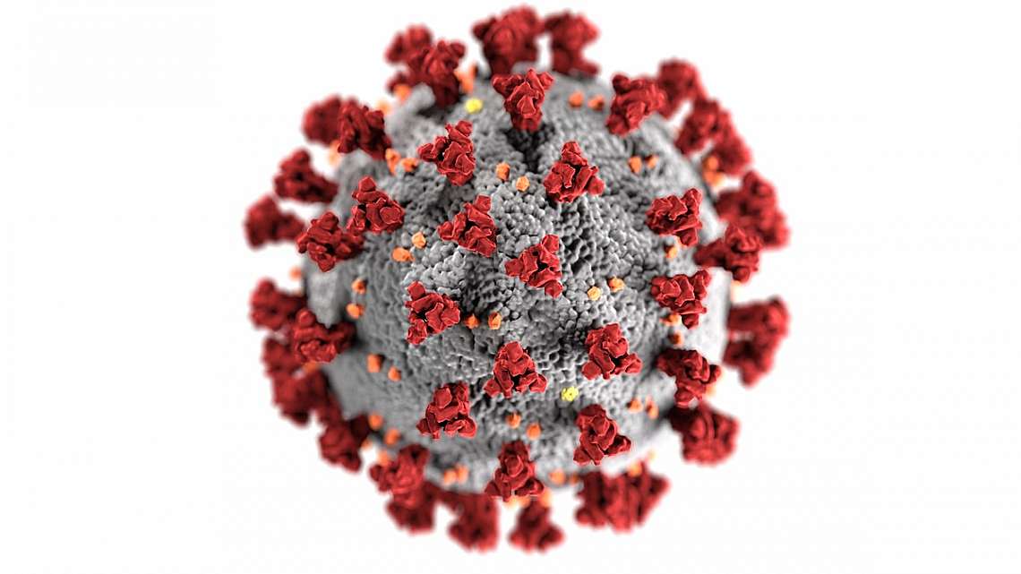This illustration, created at the Centers for Disease Control and Prevention (CDC), reveals ultrastructural morphology exhibited by coronaviruses. Not...