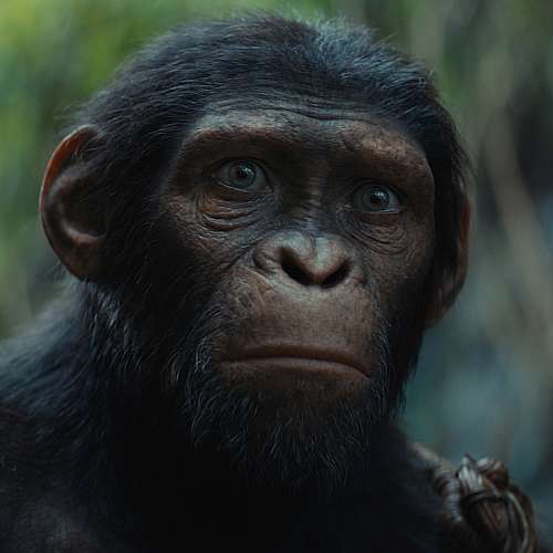 „Кралството на планетата на маймуните“ оглави боксофис класацията на Северна Америка