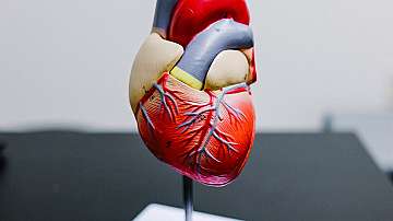 Високите нива на кръвната захар са свързани с по-голям риск от инфаркт