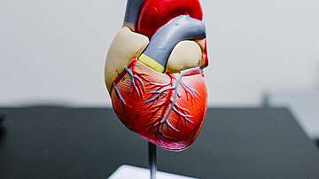 Прекомерният прием на витамин В3 може да причини сърдечни заболявания
