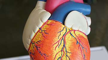 Кардиолози изследват нова хипотеза за въздействието на КОВИД-19 върху сърцето
