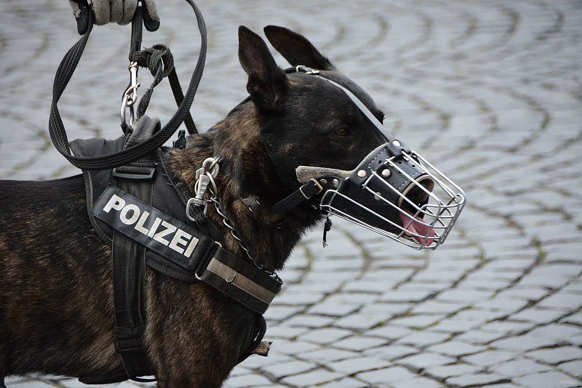 Куче на служба в полицията