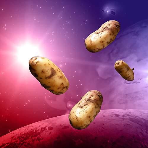 В Китай експериментално засаждат семена от картофи, които са били в космоса