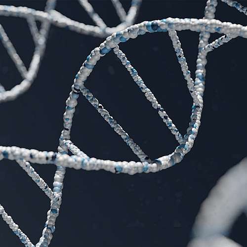 Учени за първи път са увеличили активността на гени с помощта на CRISPR/Cas9