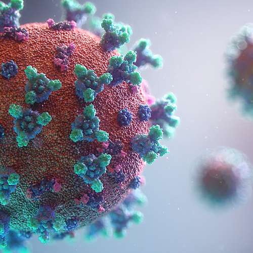 СЗО наблюдава нова разновидност  на варианта Делта на новия коронавирус