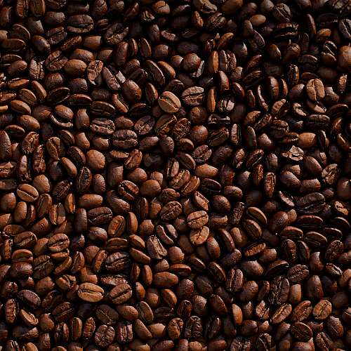 Сутрешното кафе е на 600 000 години, установи изследване
