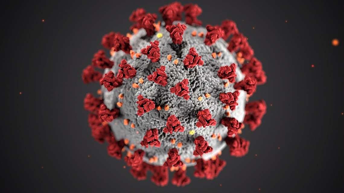 This illustration, created at the Centers for Disease Control and Prevention (CDC), reveals ultrastructural morphology exhibited by coronaviruses. Not...