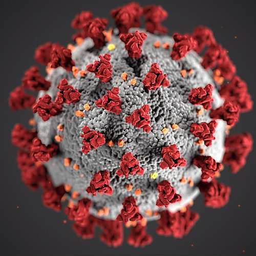 Лекарство за астма блокира ключов протеин на новия коронавирус