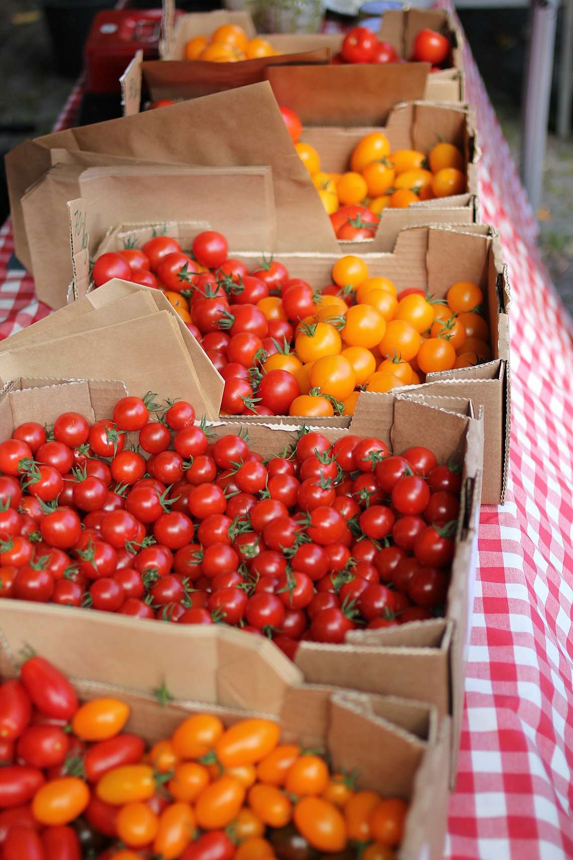Tomato in Farmers market